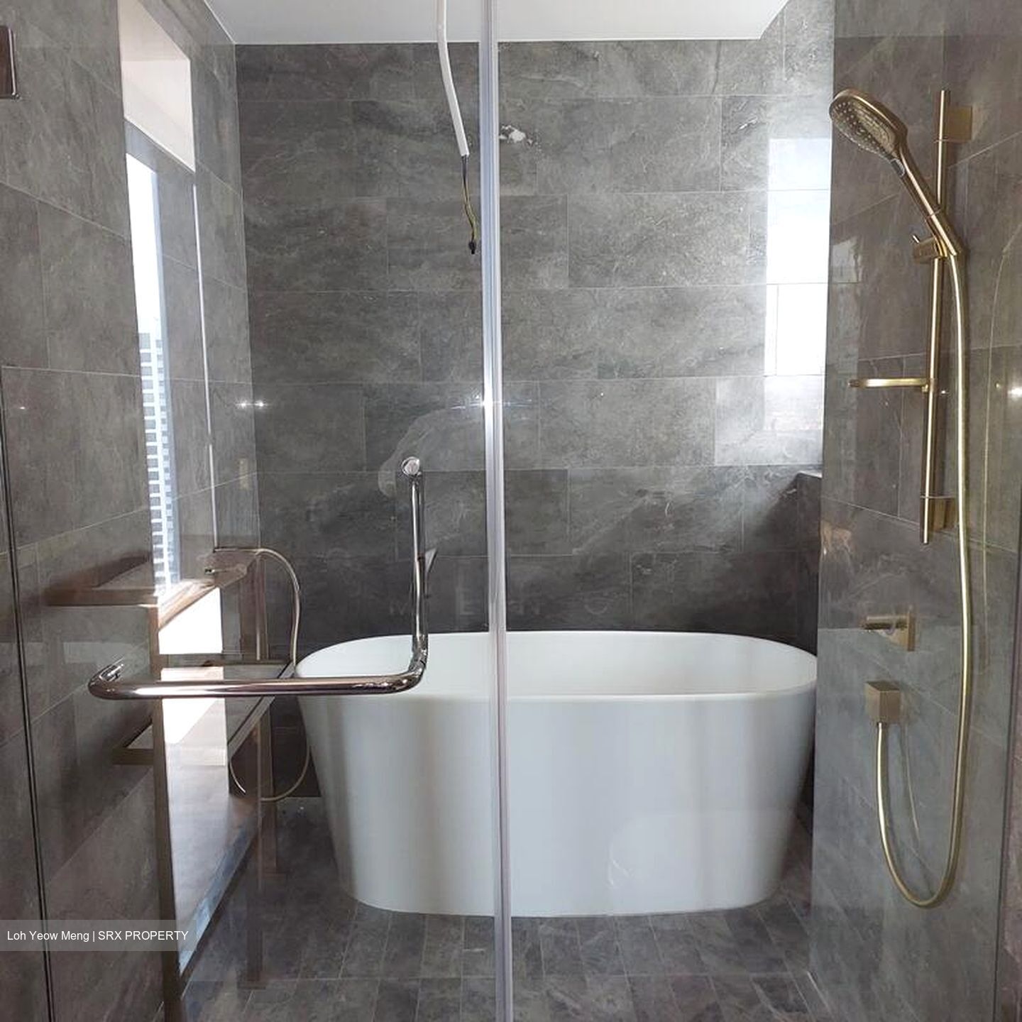 Meyer Mansion (D15), Apartment #497118321